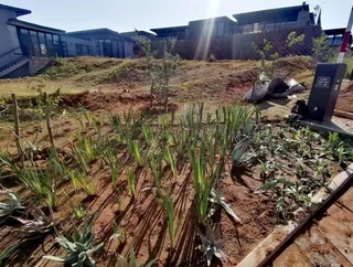 Prime Property Presents exceptional opportunity in Sibaya Precinct.