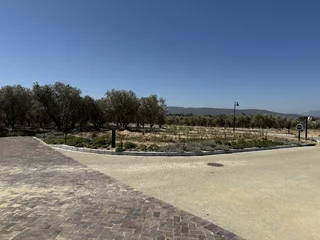 Large Corner plot in Mount Vernon