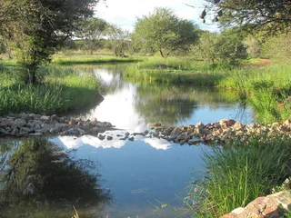 VACANT, FULL TITLE STAND AT DITHOLO WILDLIFE ESTATE NEAR THABAZIMBI