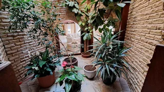 Investment Opportunity: A fully operational guest farm with AWALK TRHOUGH EXPERIENCE VIDEO INCLUDED