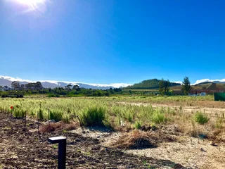 Beautiful well positioned 835 sqm plot in a desirable, quiet road in Mount Vernon Estate