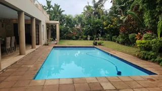 Exceptional  Bed &amp; Breakfast with Owner’s Residence For Sale – Durban North.