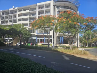 Prime Property presents Aldrovande Palace office for sale