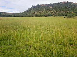 Experience the Tranquility of Mountain Living with This Prime 1250 sqm Vacant Land