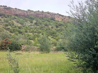 **Discover Your Future Home Site with Stunning Mountain Views**