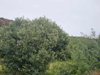 **Prime Vacant Land Opportunity: 1180 sqm at the Mountain&#39;s Foot**