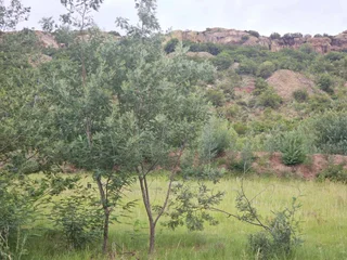 **Discover Your Future Home Site with Stunning Mountain Views**