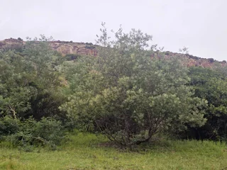 **Discover Your Dream Home Location with Stunning Mountain Views**