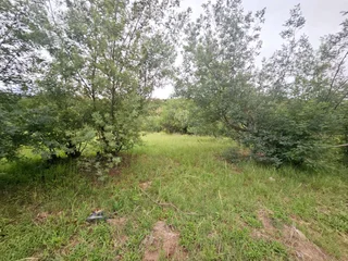 **Discover Your Dream Home Location with Stunning Mountain Views**