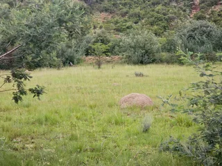 "The Perfect Blank Canvas: Create Your Mountain Haven!