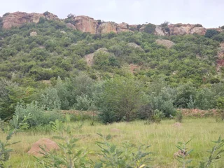 &#34;The Perfect Blank Canvas: Create Your Mountain Haven!