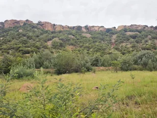 &#34;The Perfect Blank Canvas: Create Your Mountain Haven!