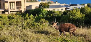 Plot For Sale in Blue Ridge, Mossel Bay