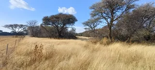 DEVELOPED SMALL GAME/SHEEP AND CATTLE FARM. CHALETS/REASTAURANT