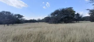 DEVELOPED SMALL GAME/SHEEP AND CATTLE FARM. CHALETS/REASTAURANT