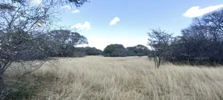 DEVELOPED SMALL GAME/SHEEP AND CATTLE FARM. CHALETS/REASTAURANT