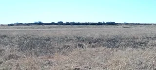 CATTLE AND SHEEPFARM. STRONG WATER.GOOD INFRASTRUCTURE.