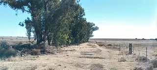 CATTLE AND SHEEPFARM. STRONG WATER.GOOD INFRASTRUCTURE.