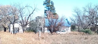 CATTLE AND SHEEPFARM. STRONG WATER.GOOD INFRASTRUCTURE.