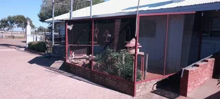 VAT REGISTERED EGG / LIVESTOSCK  FARM  STABIL HUGE INCOME PER MONTH