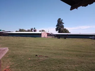 VAT REGISTERED EGG / LIVESTOSCK  FARM  STABIL HUGE INCOME PER MONTH