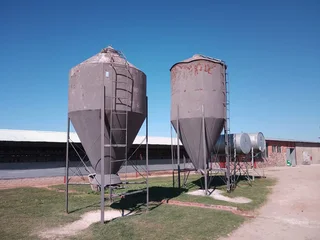 VAT REGISTERED EGG / LIVESTOSCK  FARM  STABIL HUGE INCOME PER MONTH