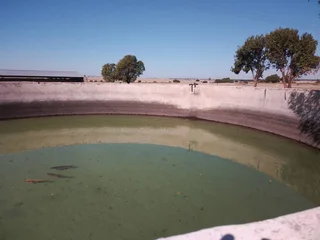 VAT REGISTERED EGG / LIVESTOSCK  FARM  STABIL HUGE INCOME PER MONTH