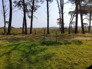 **Fabulous Property Investment: Ideal for Family Farm or Events Venue**