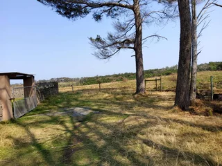 **Fabulous Property Investment: Ideal for Family Farm or Events Venue**