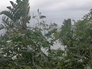 VACANT LAND WITH SEA VIEWS