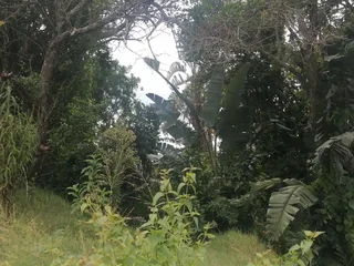 VACANT LAND WITH SEA VIEWS