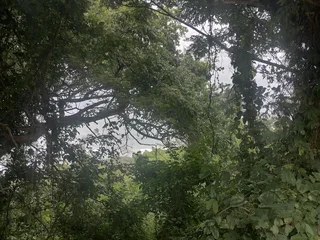 VACANT LAND WITH SEA VIEWS