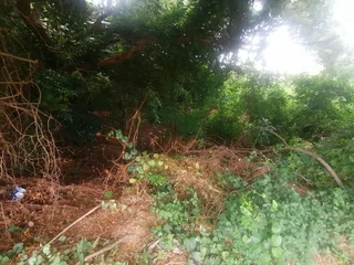 VACANT LAND WITH SEA VIEWS