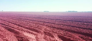 Going Cocern.includes Implements.250 Hekt Top Soil For Plant Of Crops.26 Hekt Grazing Land.