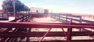 GOING COCERN.INCLUDES IMPLEMENTS.250 HEKT TOP SOIL FOR PLANT OF CROPS.26 HEKT GRAZING LAND.