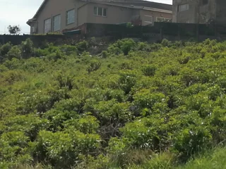 Prime Vacant Land with Stunning Inland Views