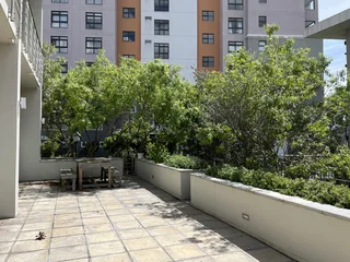 300 m2 Ground Floor office To Let in Century City