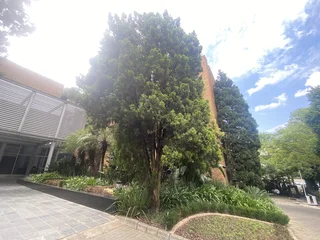 Modern Fitted Office Space To Let in Prime Rosebank Location