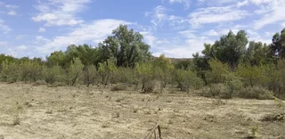 18 PlOTS IN TOTAL.STRONG WATER.IDEAL FOR SHEEP AND LARGE VEGETABLE PROJECT. DONT MISS. SOLAR POWER