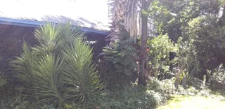 18 PlOTS IN TOTAL.STRONG WATER.IDEAL FOR SHEEP AND LARGE VEGETABLE PROJECT. DONT MISS. SOLAR POWER