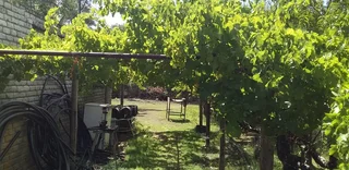 18 PlOTS IN TOTAL.STRONG WATER.IDEAL FOR SHEEP AND LARGE VEGETABLE PROJECT. DONT MISS. SOLAR POWER