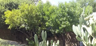 18 PlOTS IN TOTAL.STRONG WATER.IDEAL FOR SHEEP AND LARGE VEGETABLE PROJECT. DONT MISS. SOLAR POWER