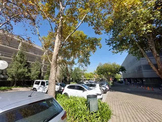 238 sqm office to Let in Bedfordview
