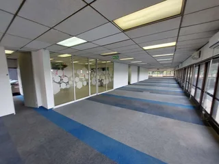 561 sqm Office to Let in Bedfordview