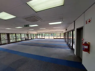 561 sqm Office to Let in Bedfordview