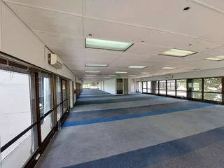 561 sqm Office to Let in Bedfordview