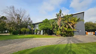 Secure Storage Warehouse To Let In Elsies River Industrial