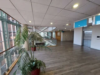 162 sqm Office to Let in Bedfordview