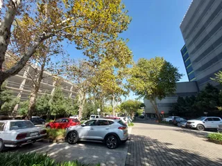 127 sqm Office to Let in Bedfordview