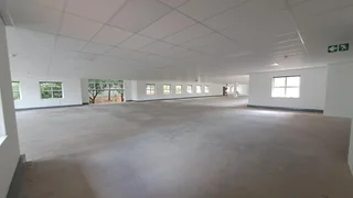 Office to Let At Ballywoods Office Park In Bryanston